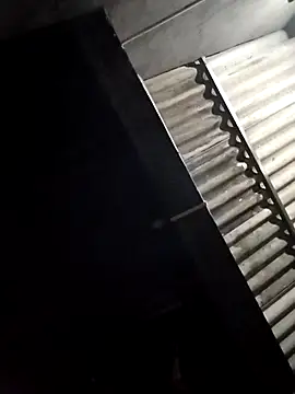 Baby flower 1 online show from 3, 3, 2026