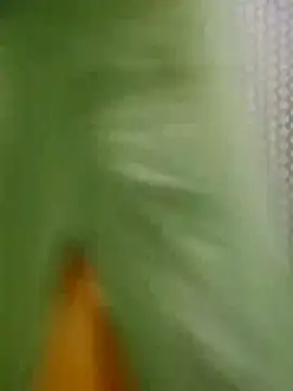 Jyoti hot online show from 7, 3, 2026