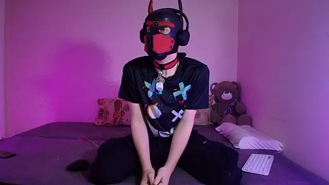 K9 GoodBoy online show from 1, 4, 2026