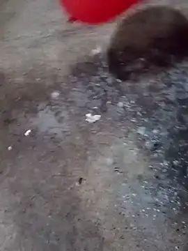 gonzalez1018 online show from 27, 4, 2026