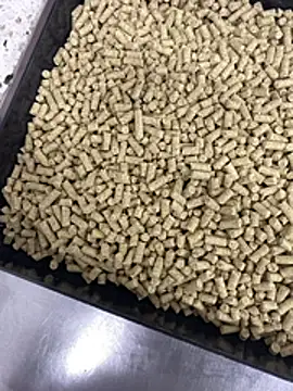 Elmanc online show from 26, 2, 2026