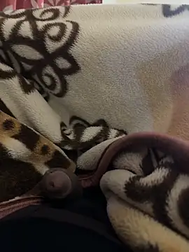 youngboywithcurvymilf online show from 2, 3, 2026