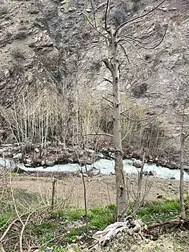 TurkeyMen online show from 8, 4, 2026