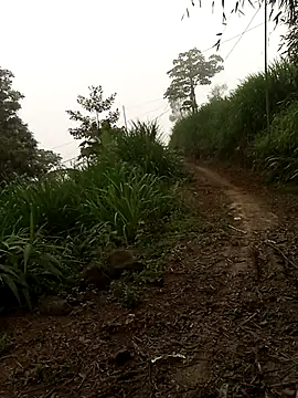 Nth5h online show from 18, 4, 2026