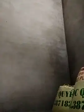 ngocbao11 online show from 26, 4, 2026