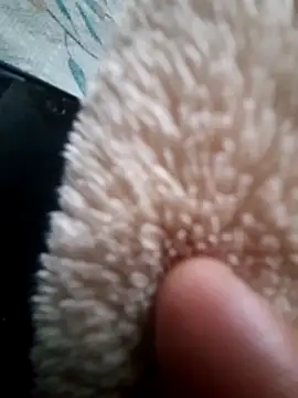 iambesting online show from 28, 2, 2026