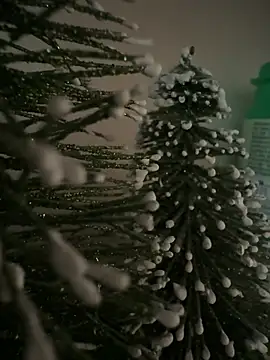 sexysou online show from 9, 4, 2026