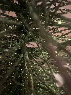 sexysou online show from 15, 4, 2026