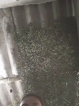 mar coral2 online show from 9, 3, 2026