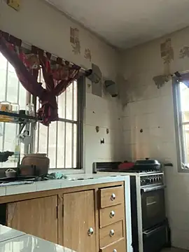 perritarebeldee online show from 22, 4, 2026