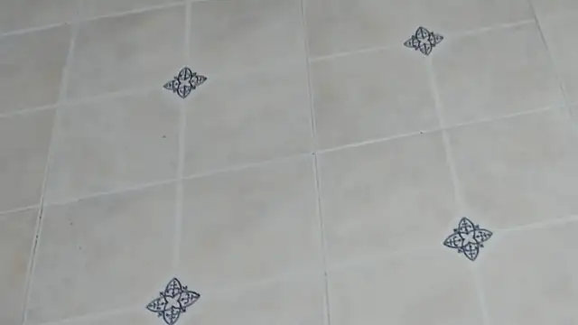 georginacouple hardsex online show from 25, 4, 2026