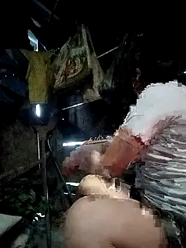 Dear baby  online show from 25, 4, 2026