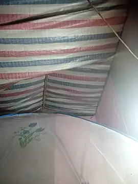 Susu-bae online show from 26, 2, 2026