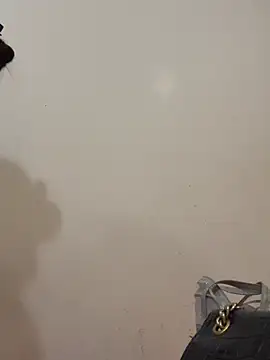 Dautay-mup online show from 4, 3, 2026