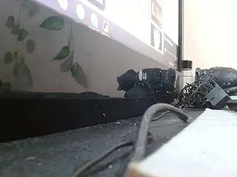 Snapshot of powderblu69 chatting on 6, 5, 2026 powderblu69 online show from 6, 5, 2026