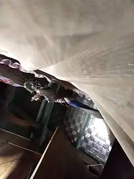 Big-all012 online show from 23, 2, 2026