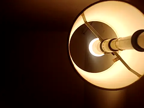 stud2512 online show from 27, 4, 2026