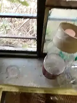 Snapshot of blackbeauty321 chatting on 26, 2, 2026 blackbeauty321 online show from 26, 2, 2026