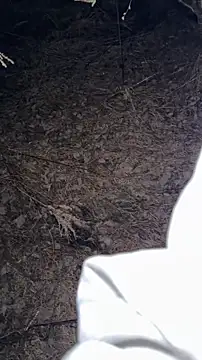 Snapshot of salfetka_sex chatting on 23, 3, 2026 salfetka sex online show from 23, 3, 2026