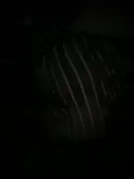 Angel Lov3 online show from 11, 4, 2026