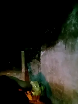 elen8800 online show from 1, 3, 2026