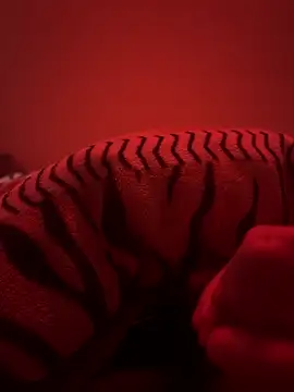 689Nika online show from 23, 4, 2026