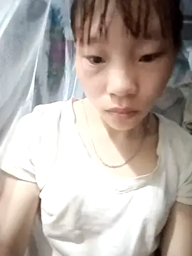 pic8800 online show from 6, 5, 2026