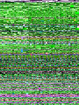 D SnowL online show from 10, 7, 2026