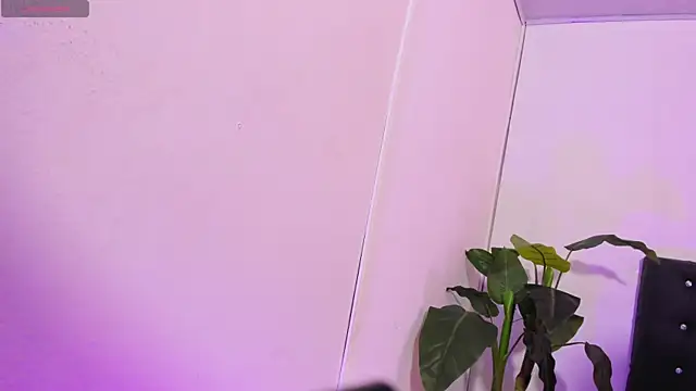 LINDSAY TAY online show from 21, 4, 2026