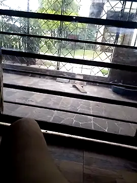 stivengaviria online show from 6, 3, 2026