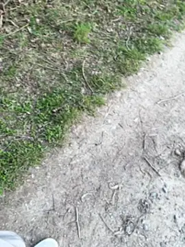 Snapshot of aras__25 chatting on 9, 3, 2026 aras 25 online show from 9, 3, 2026