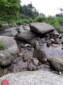 zanh99 online show from 24, 4, 2026