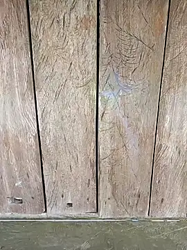 Heylen hooo online show from 20, 4, 2026