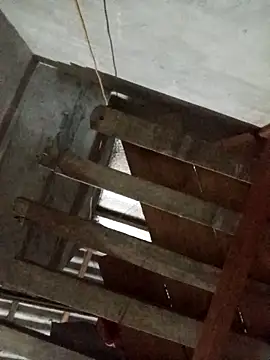 Heylen hooo online show from 29, 4, 2026