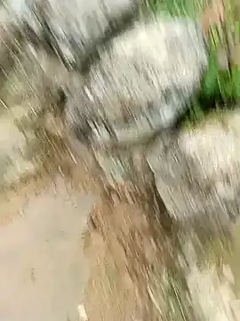 lyly sexx online show from 24, 4, 2026