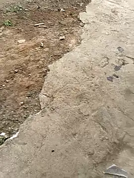 lyly sexx online show from 25, 4, 2026