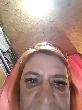 Belowa7364 online show from 21, 4, 2026