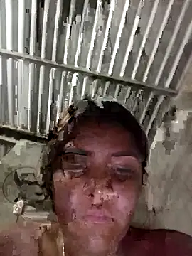 single kitten online show from 20, 3, 2026