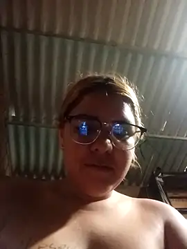 single kitten online show from 25, 4, 2026