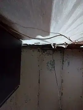 Mashaps2384 online show from 5, 3, 2026