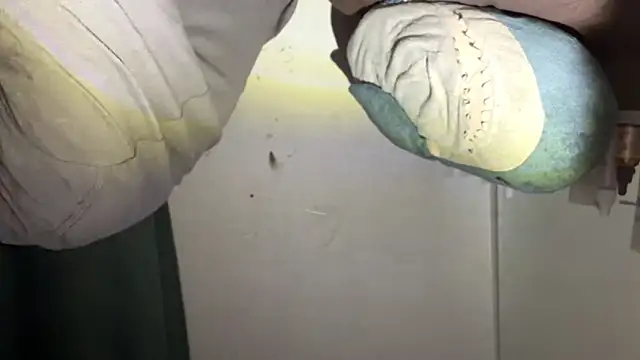 Mark Shoyer2 online show from 23, 4, 2026