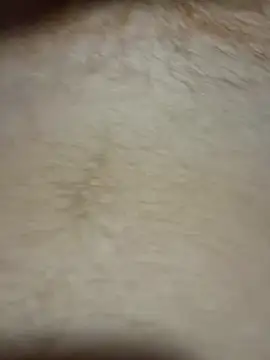 TheChavyGinge online show from 18, 3, 2026