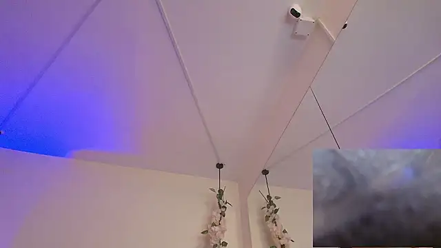 Caandace online show from 19, 3, 2026