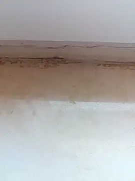 jeniferoo online show from 11, 3, 2026