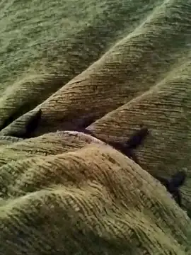 detasuta online show from 7, 3, 2026