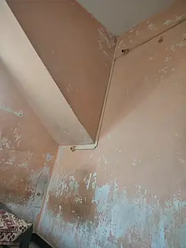 Tamillaxmi12 online show from 27, 4, 2026