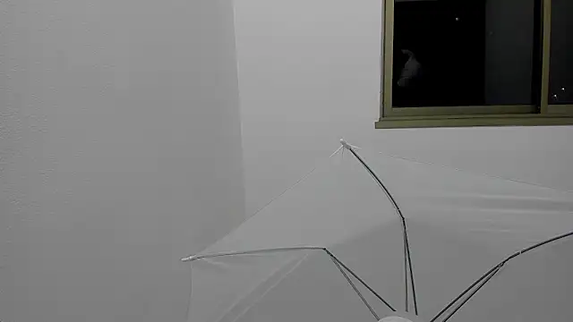 Mnell28 online show from 5, 3, 2026