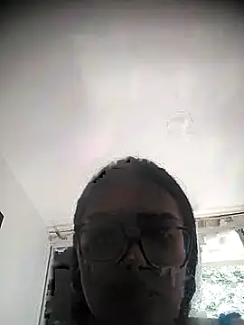 pregnant kitten01 online show from 11, 3, 2026