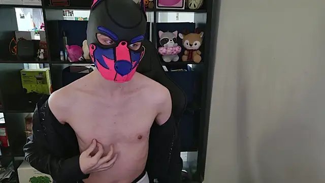 MellPUP online show from 1, 4, 2026