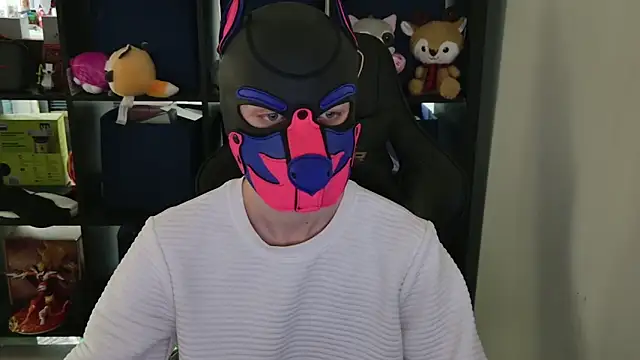 MellPUP online show from 8, 4, 2026